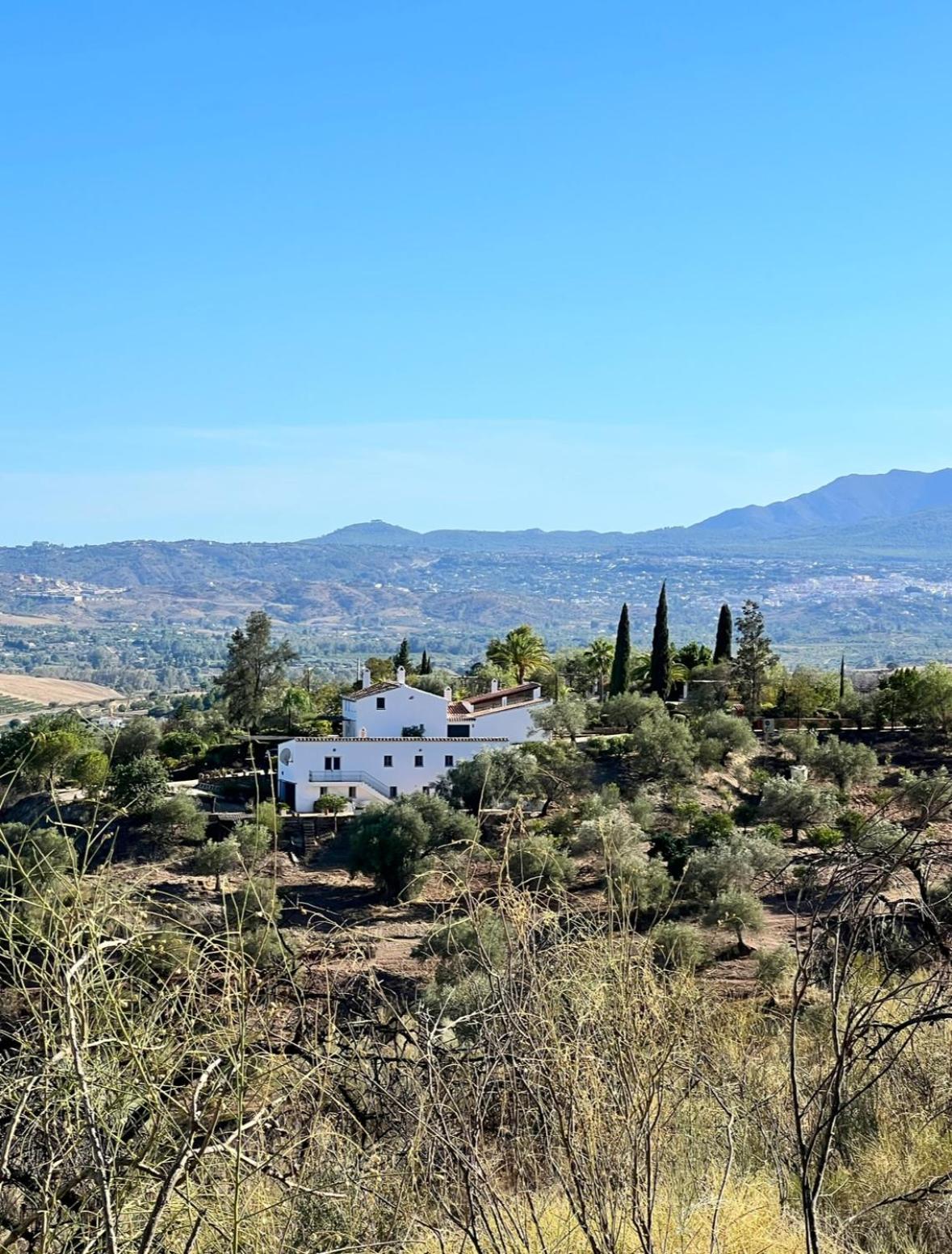 Santa Teresa Bed & Breakfast Andalusien Pizarra Exteriör bild