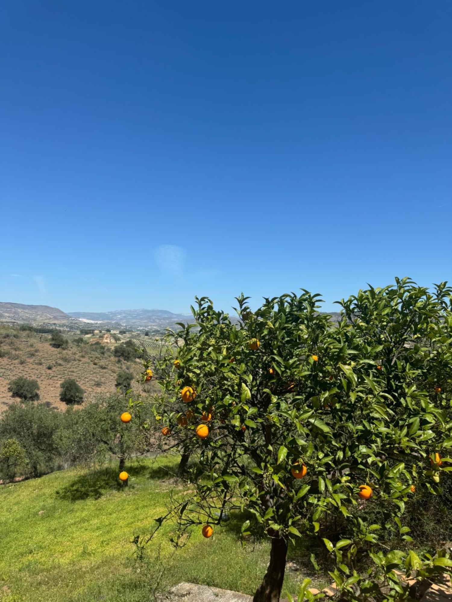 Santa Teresa Bed & Breakfast Andalusien Pizarra Exteriör bild