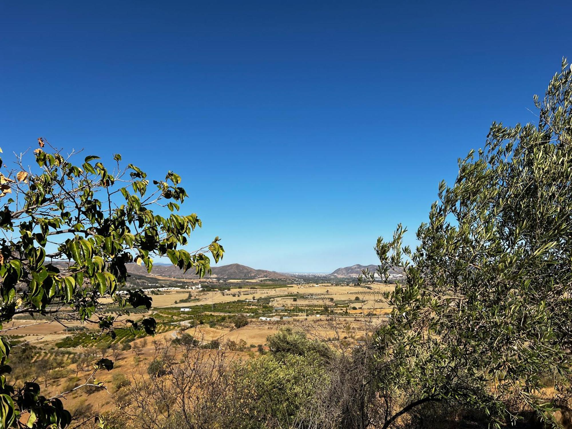 Santa Teresa Bed & Breakfast Andalusien Pizarra Exteriör bild